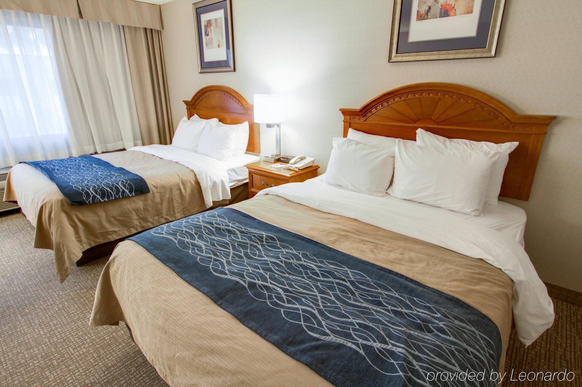 Comfort Inn North Phoenix Ngoại thất bức ảnh